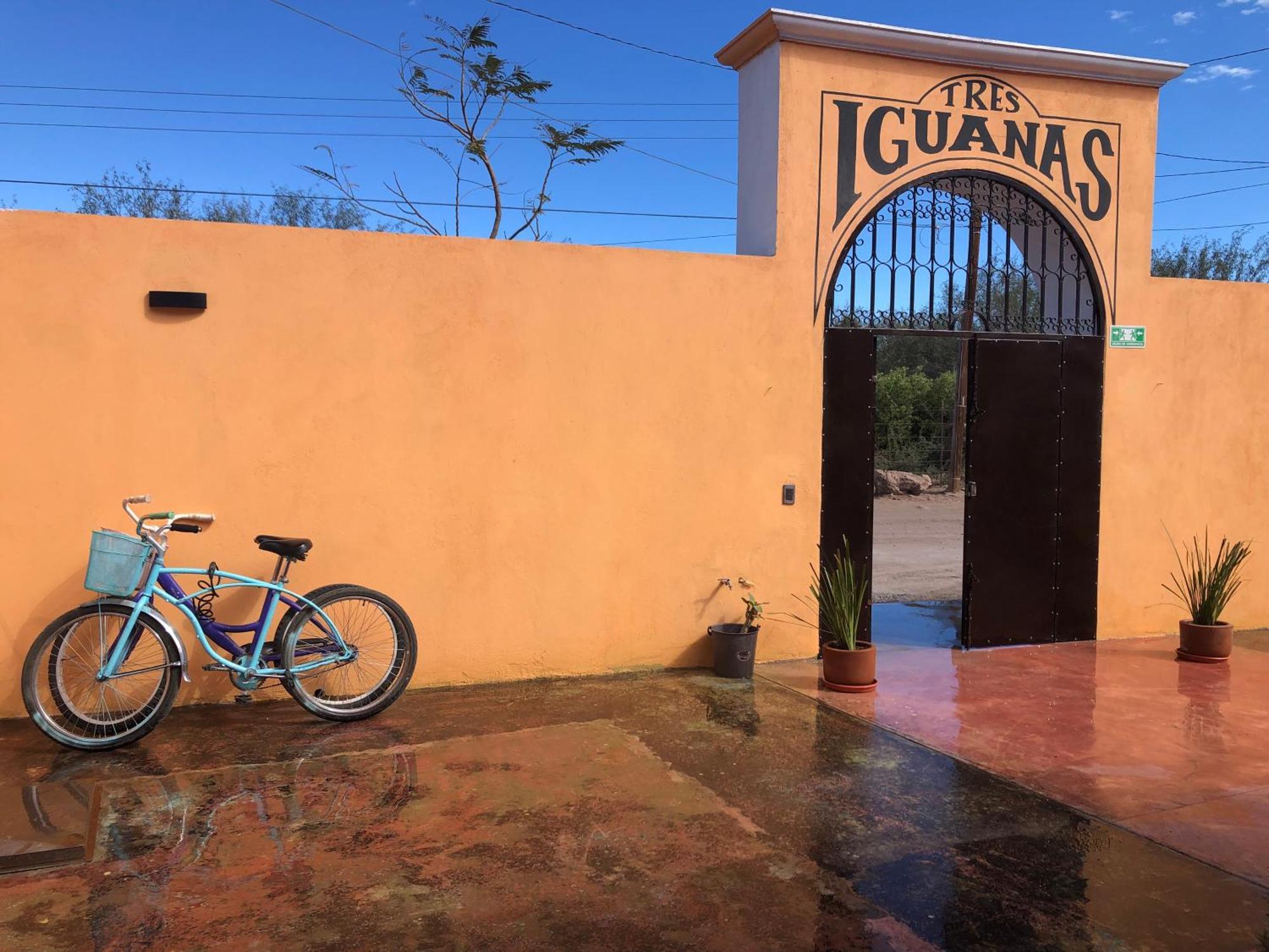Tres Iguanas Apart Hotel - New, Cozy & Spacious Flats, Short Walk To Beach Лорето Екстериор снимка