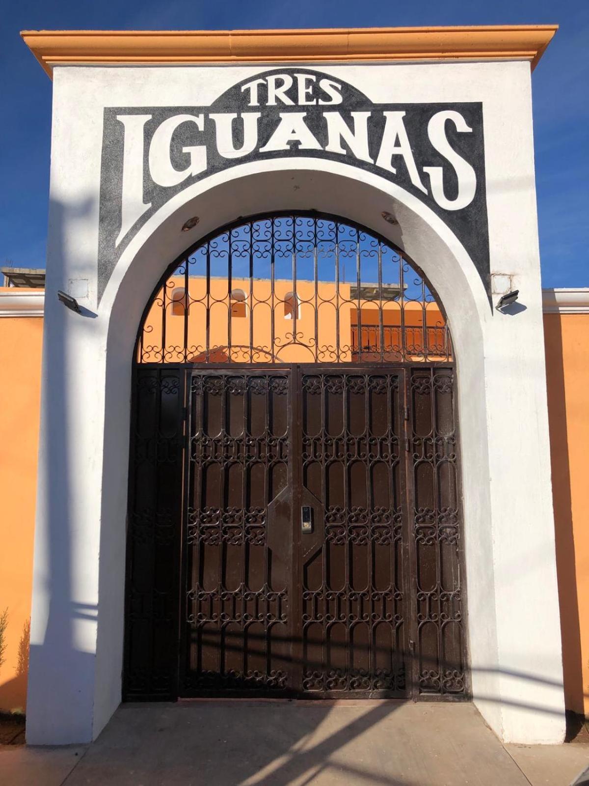 Tres Iguanas Apart Hotel - New, Cozy & Spacious Flats, Short Walk To Beach Лорето Екстериор снимка