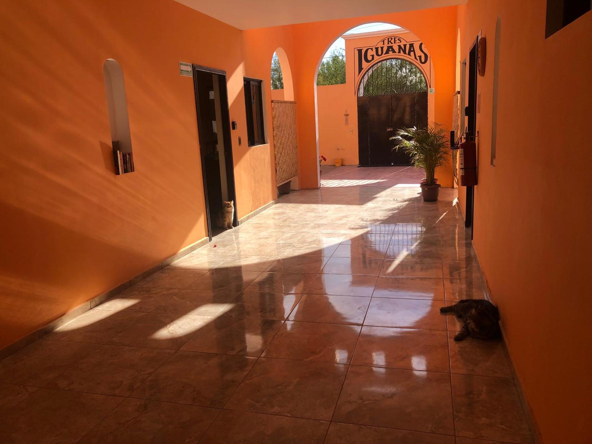 Tres Iguanas Apart Hotel - New, Cozy & Spacious Flats, Short Walk To Beach Лорето Екстериор снимка