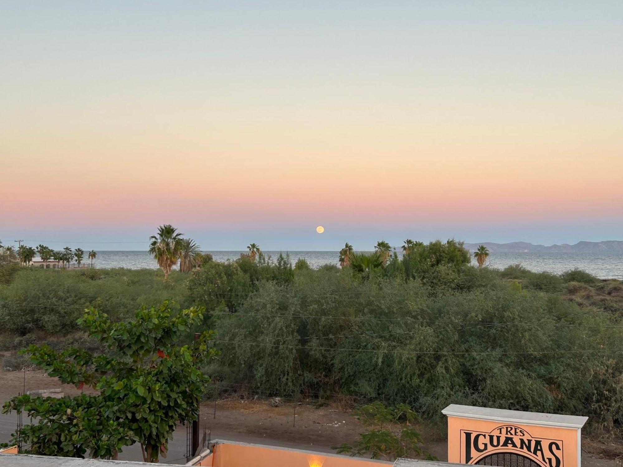 Tres Iguanas Apart Hotel - New, Cozy & Spacious Flats, Short Walk To Beach Лорето Екстериор снимка